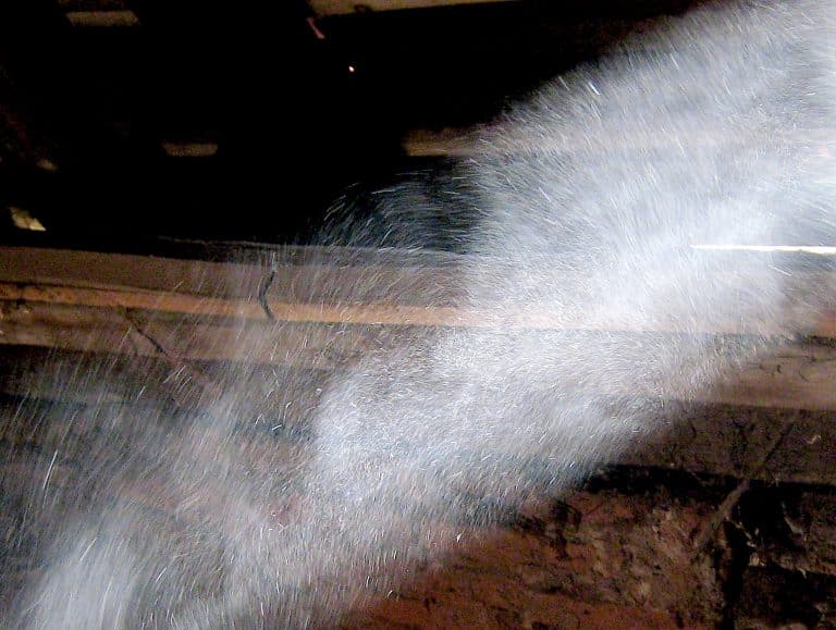 Dust Dancing In The Sunlight Me 074c1