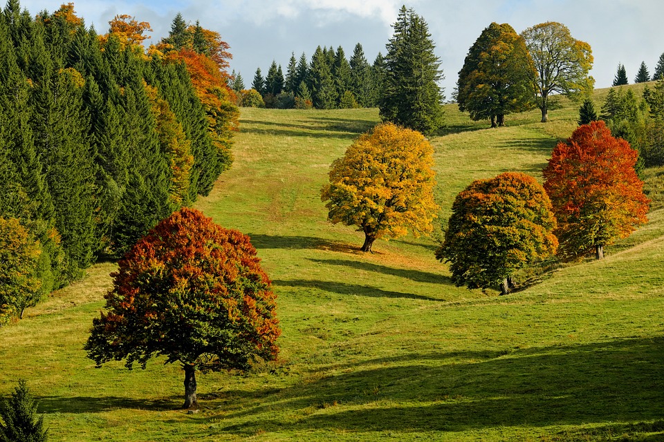 fall hvac