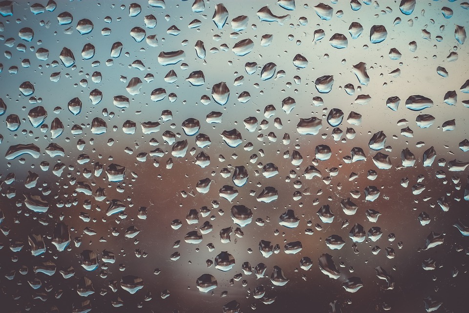 Rain