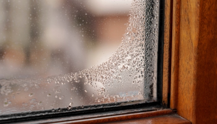 Water Condensation On Window Water Condensation On Window